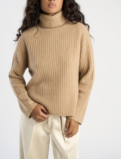 Pull Madina - Camel