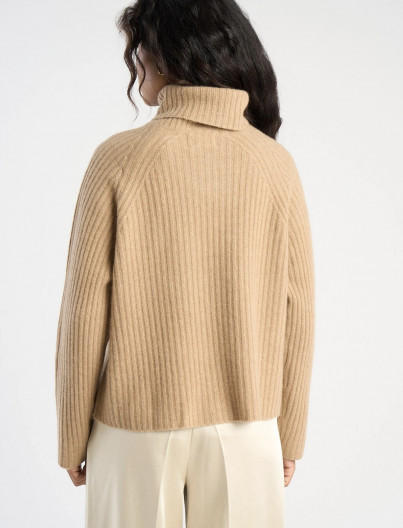 Pull Madina - Camel